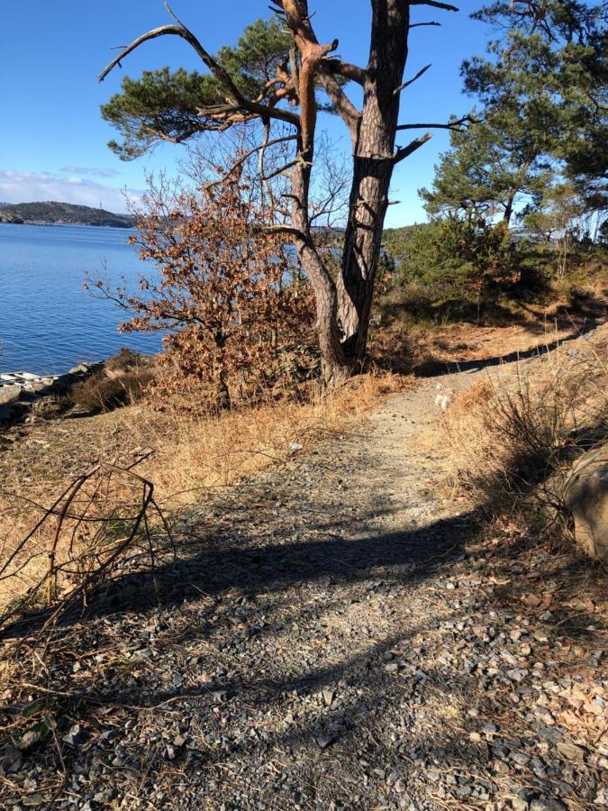 Apartamento Sjonaer Idyll Kristiansand Exterior foto